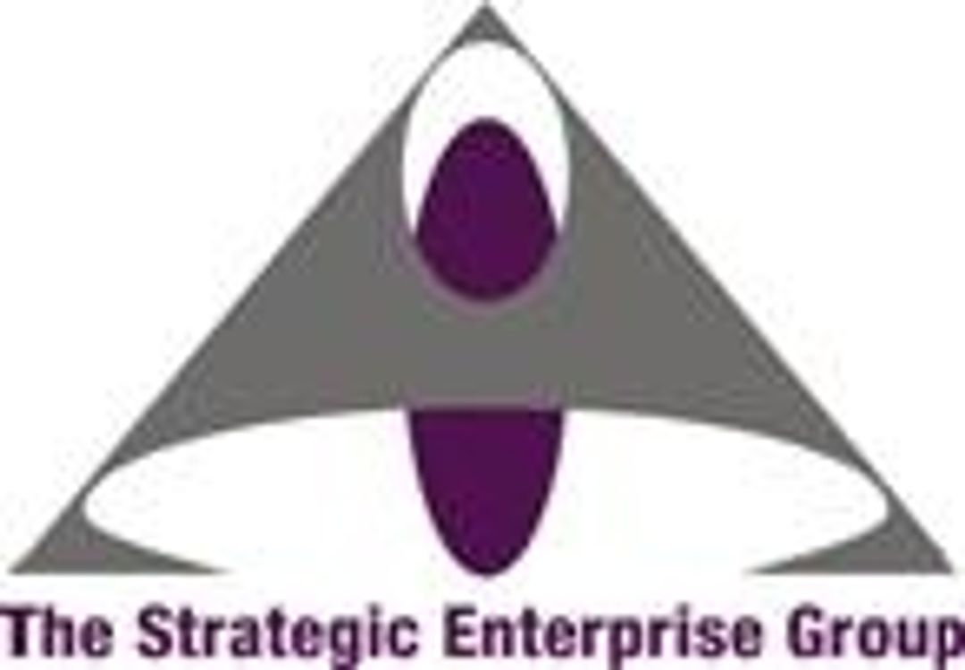 The Strategic Enterprise Group, Business Psychologists & Human Resource Consultants 